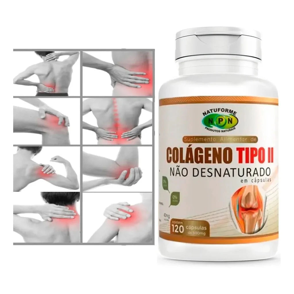 Colágeno Tipo 2 Premium