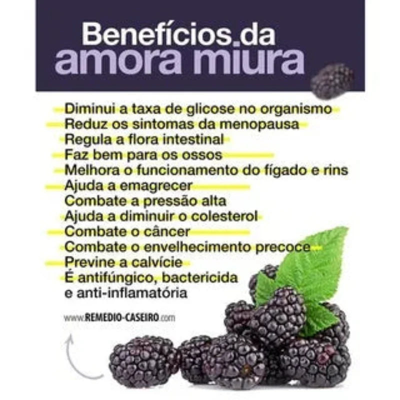 Amora Miúra Original  - Aumente sua Saúde e Bem-Estar