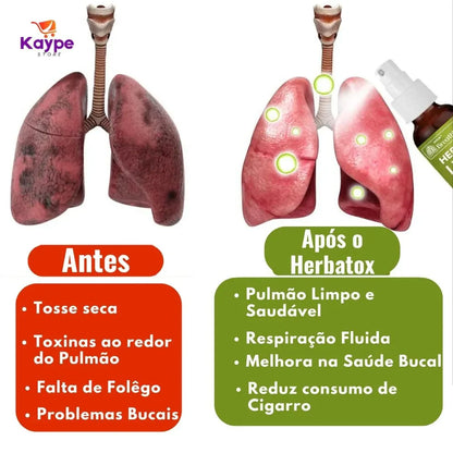 Spray HerbalTox – Frescor e Bem-Estar Respiratório Natural | Kaype Store