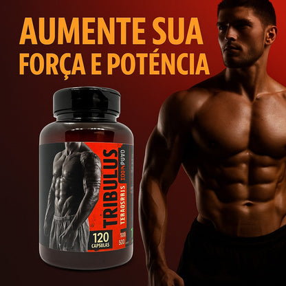 Tribulus Terrestris 500 mg – Fonte Potente de Saponinas (56%)