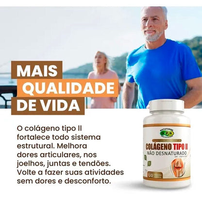 Colágeno Tipo 2 Premium