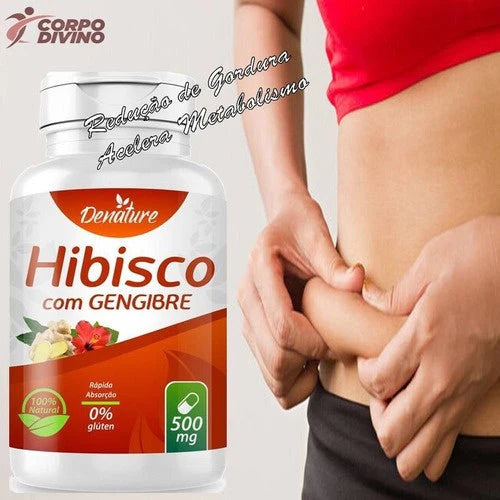 Hibisco com Gengibre